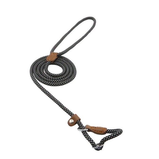 Lumora PupGear nylon dog leash and collar set