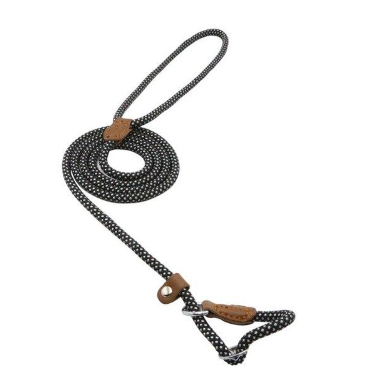 Lumora PupGear nylon dog leash and collar set