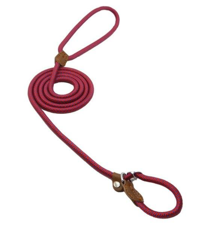 Lumora PupGear nylon dog leash and collar set