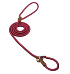 Lumora PupGear nylon dog leash and collar set
