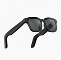 Lumora Vision AI smart glasses with built-in camera