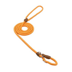 Lumora PupGear nylon dog leash and collar set