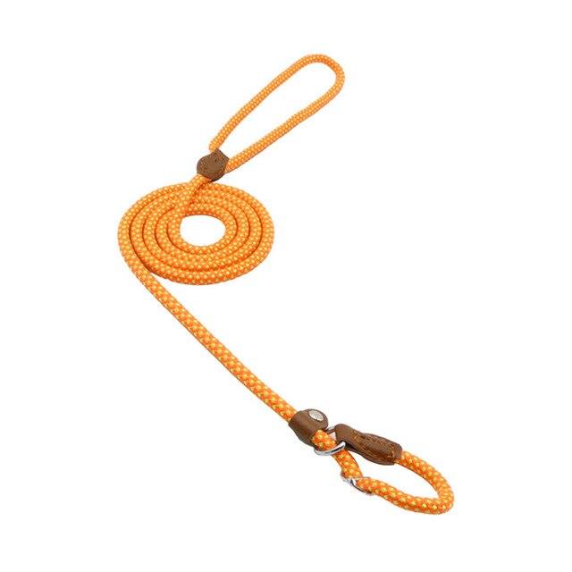 Lumora PupGear nylon dog leash and collar set