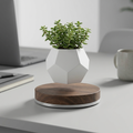 Lumora Orbit™ Levitating Planter — Floating, Rotating Desk Plant