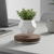 Lumora Orbit™ Levitating Planter — Floating, Rotating Desk Plant